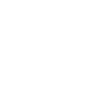 SDM
